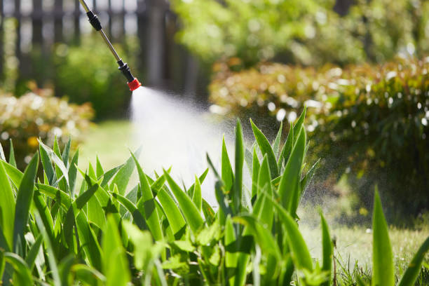 24/7 Emergency Mosquito Control experts in Margaret, AL